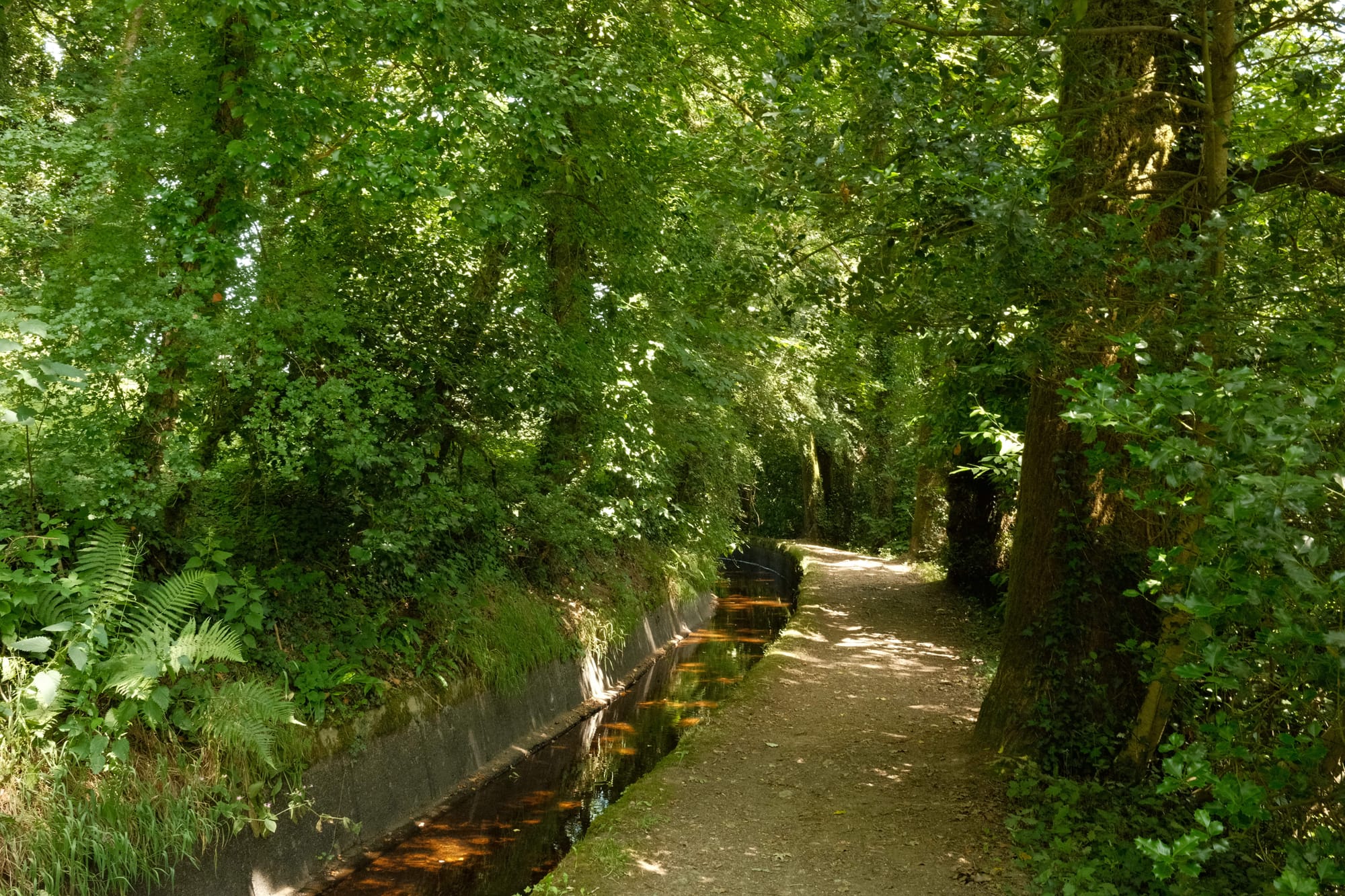 Leben und Weisheit der bretonischen Dichterin Anjela Duval