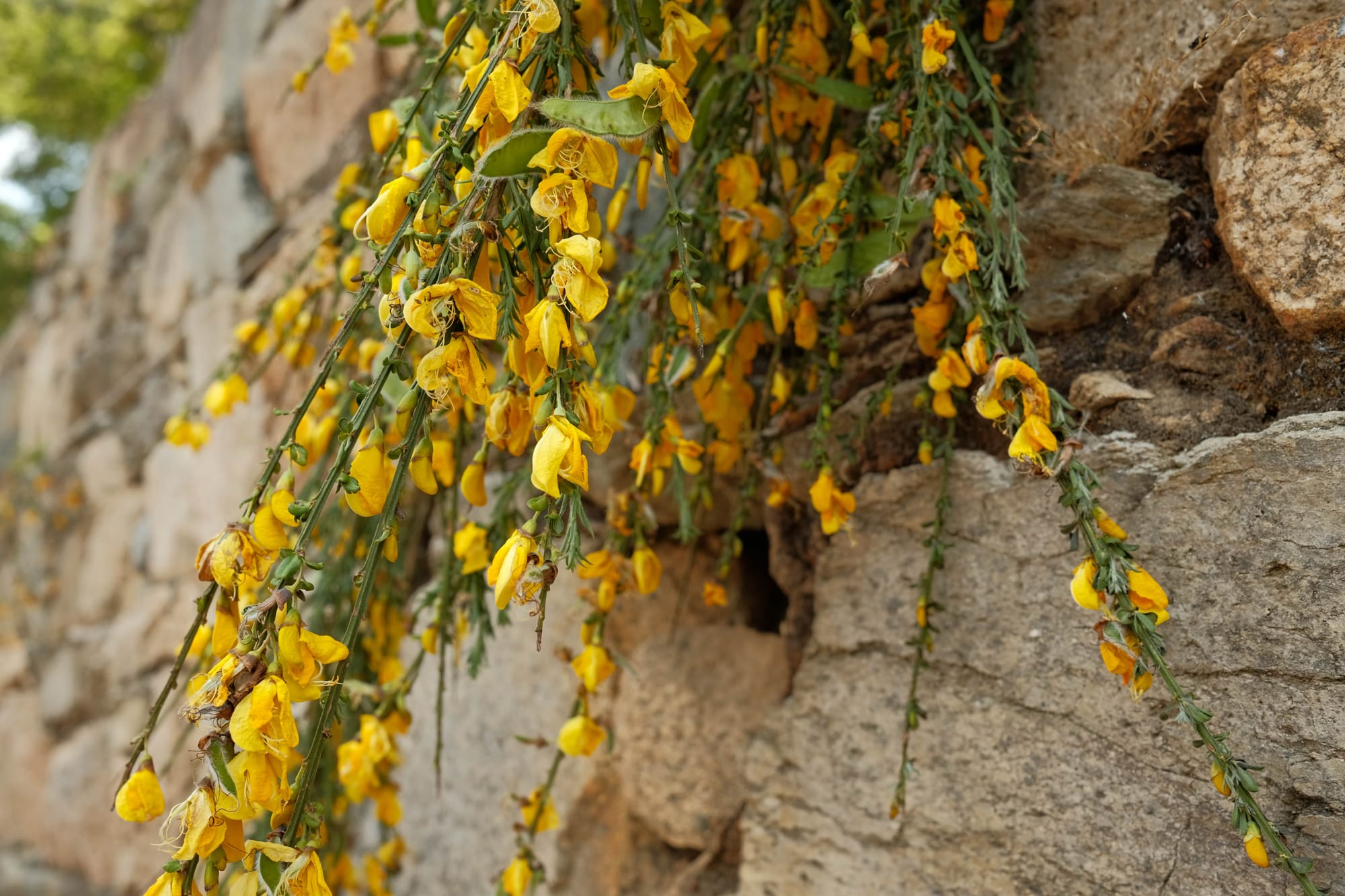 Bretagne Kino-Reise: 5 Filme für ein tieferes Verständnis
