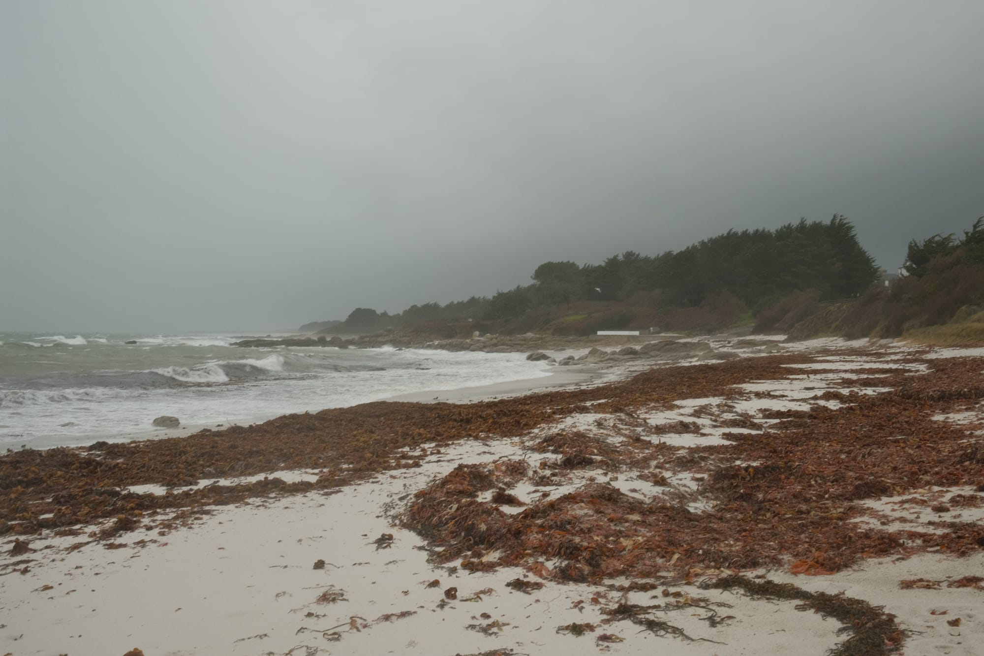 Feucht & fröhlich: Top-Aktivitäten bei Regen in der Bretagne