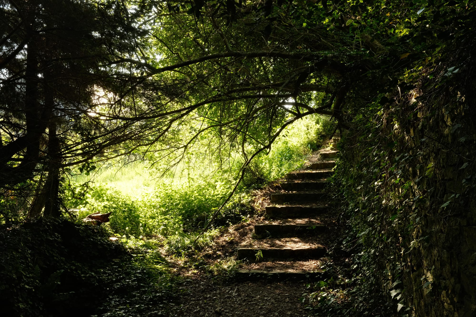 Yves Rocher: Der Mann, der die Frauen veredelte