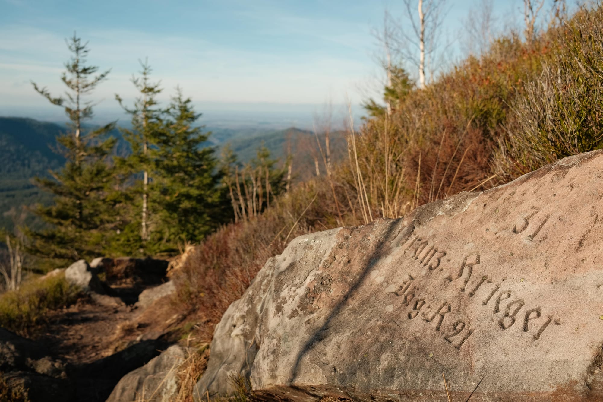 Mit Hund im Elsass: Top-Aktivitäten & Tipps
