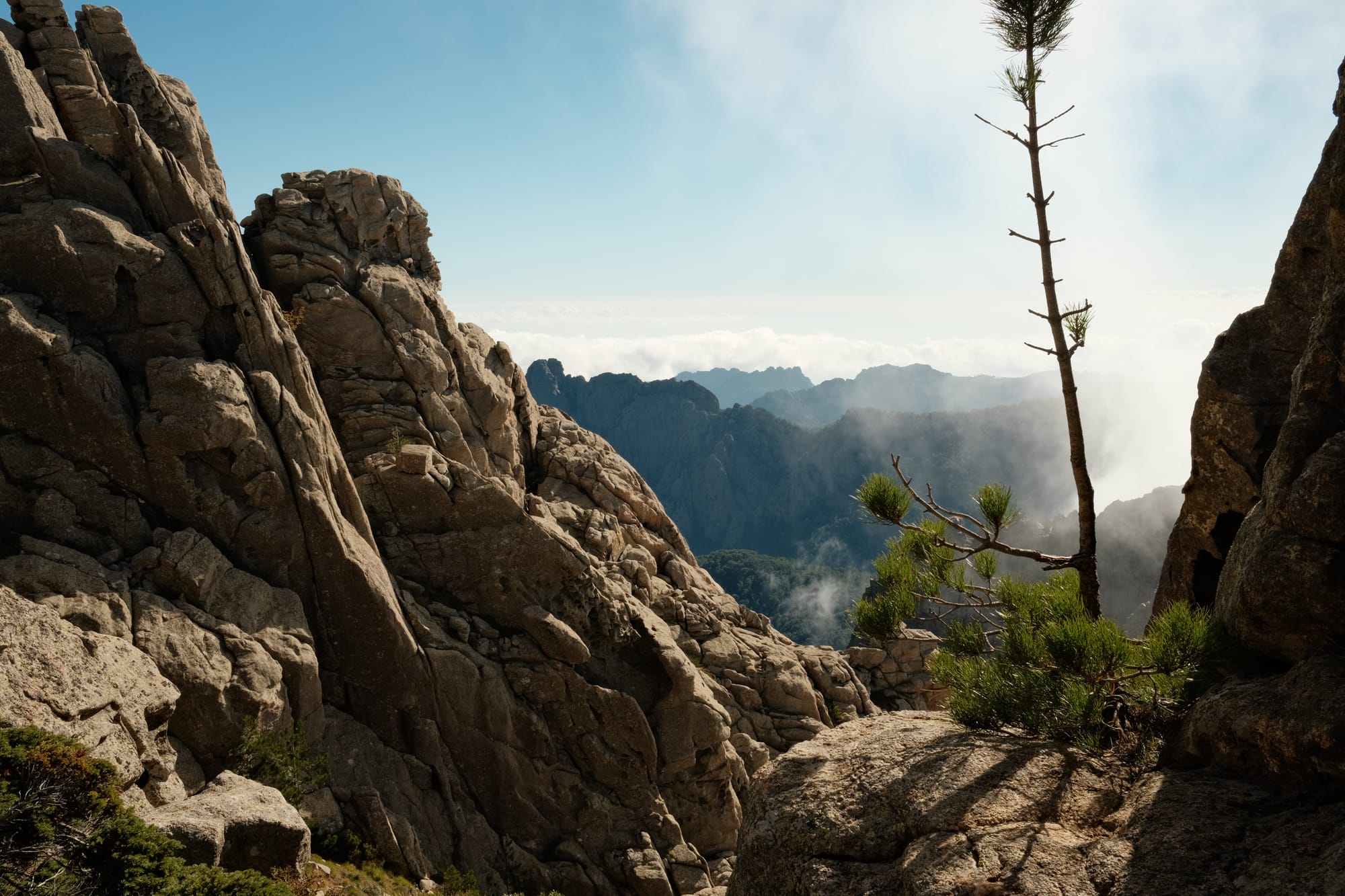 Regionale Minderheiten in Frankreich: Kontraste & Analogien