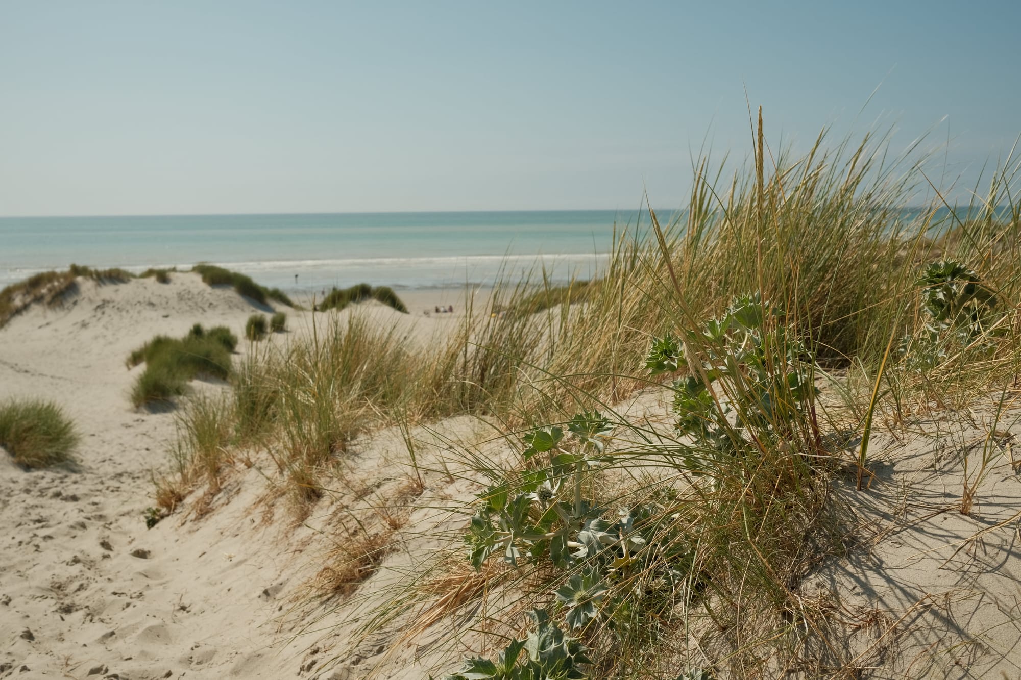 Hochschulzugang in Frankreich: Ein brennendes Thema