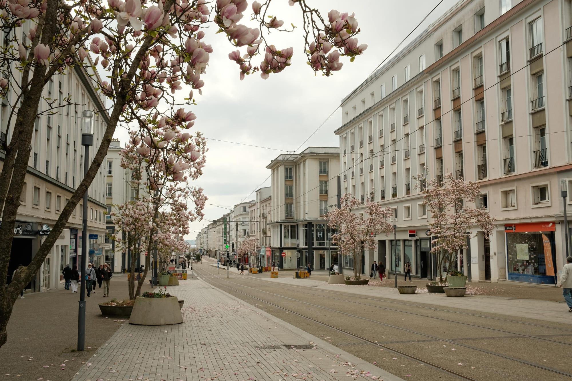 Frankreich News - 20. Juli 2025