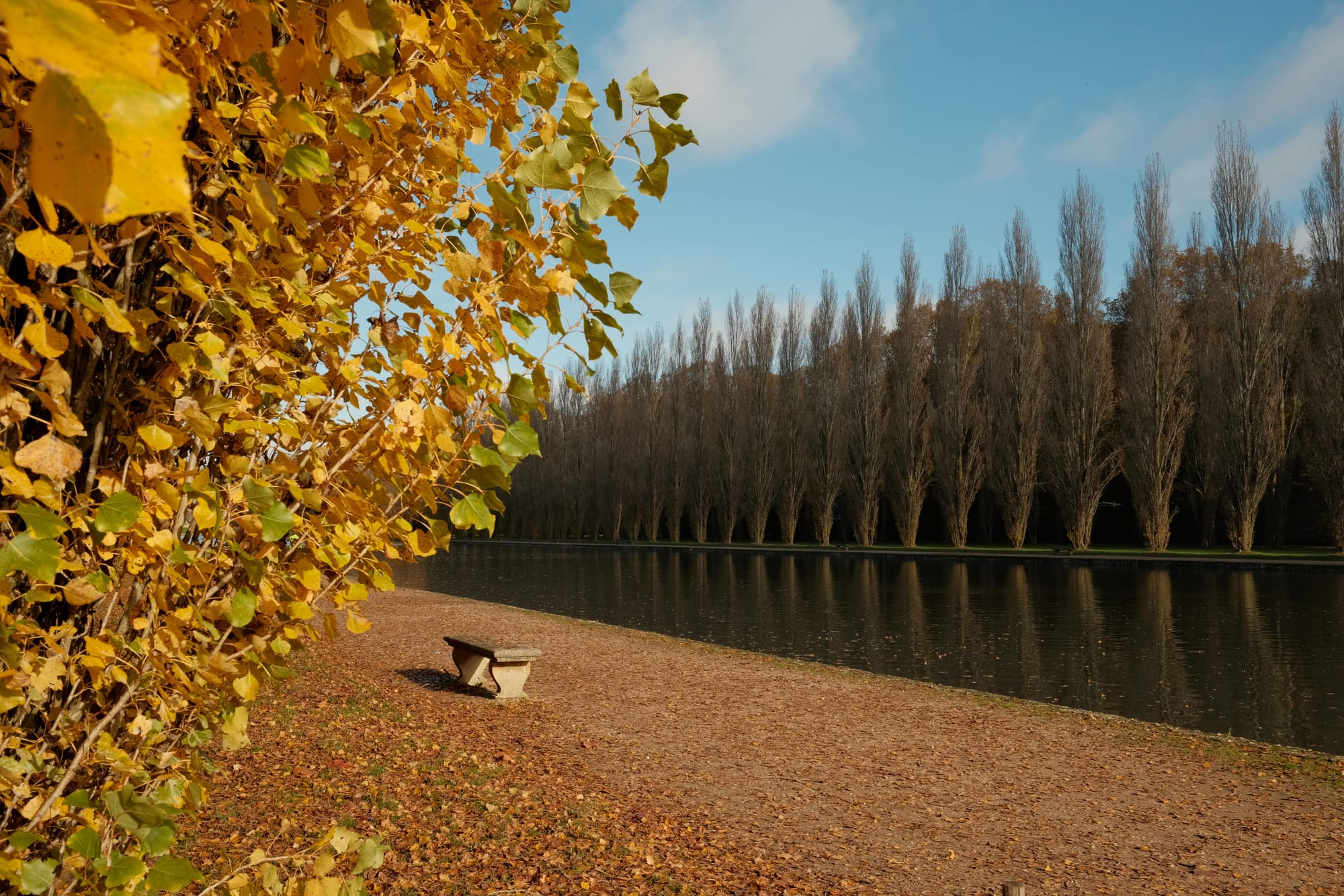 Die bequemsten Socken Frankreichs (und die, die du vergessen kannst)