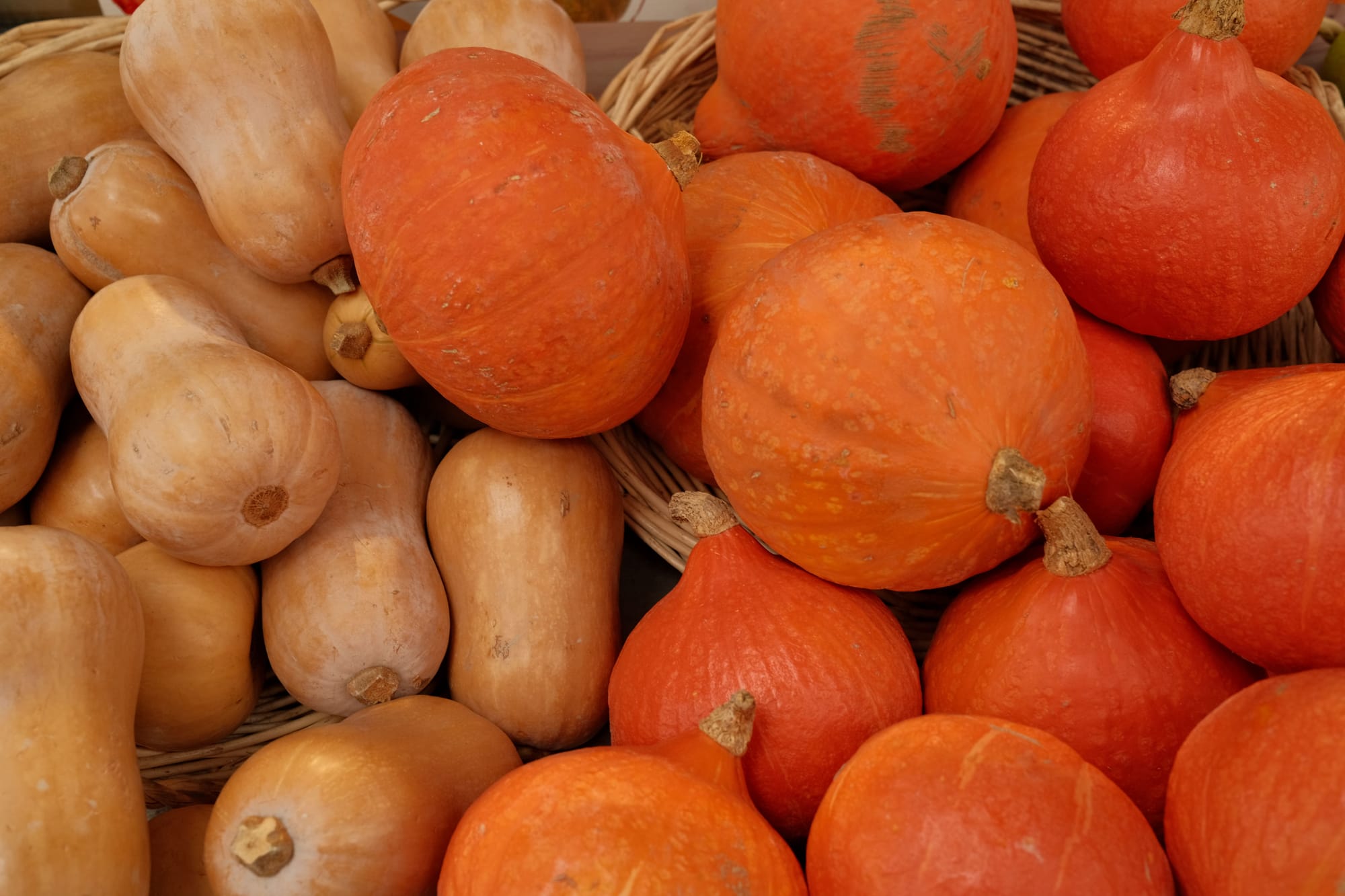 Oktober in Frankreich: Beste Orte, Wetter & Tipps